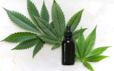 CBD olie: Alt hvad du skal vide om dens fordele og varianter