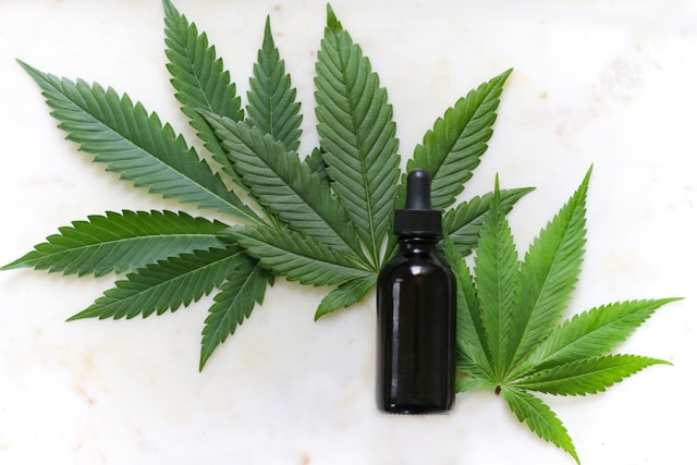 CBD olie: Alt hvad du skal vide om dens fordele og varianter